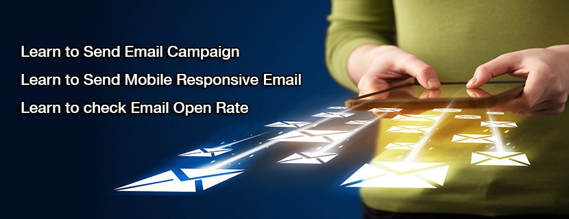 Email Marketing Training in Delhi
